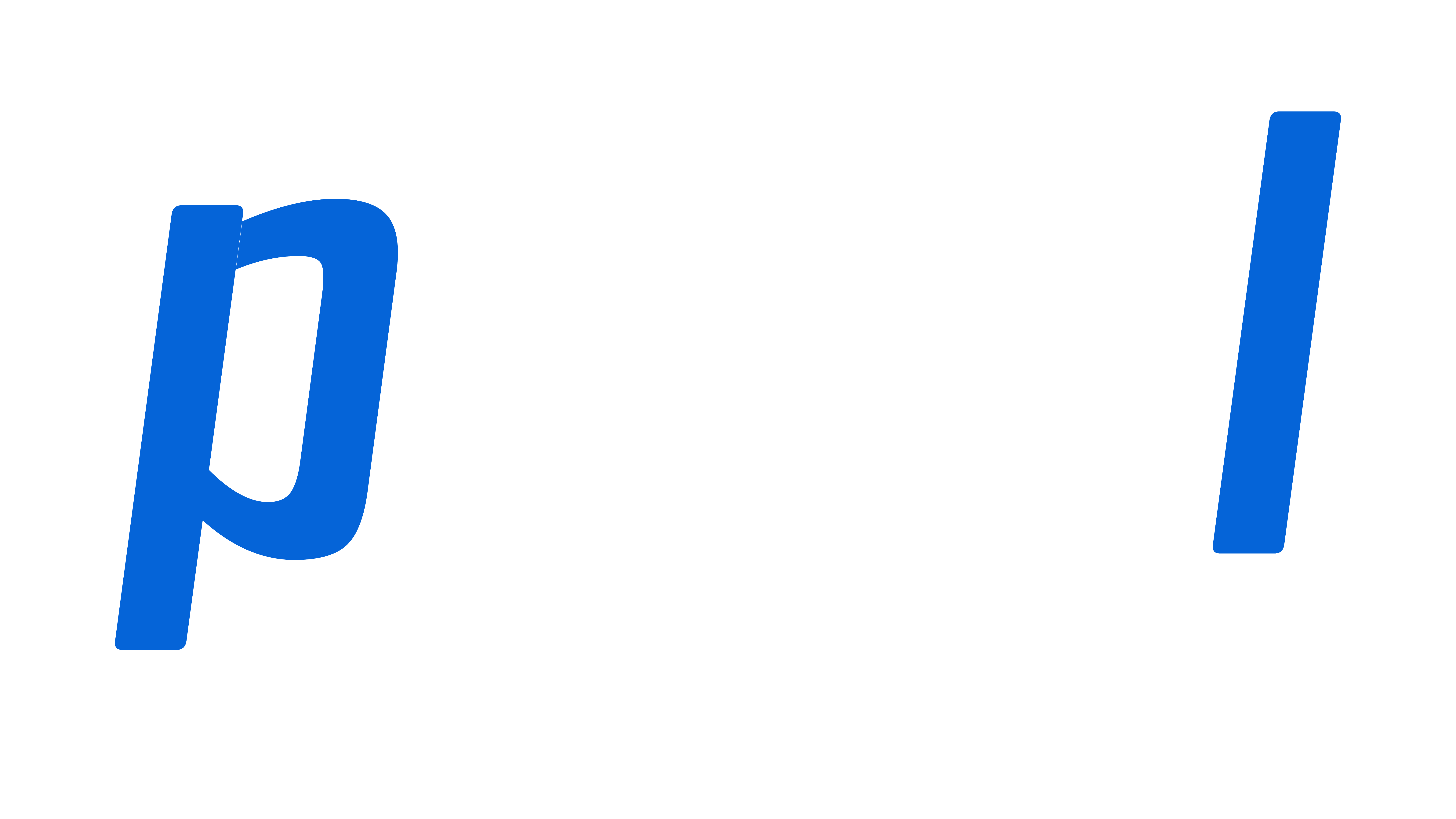 P-ANE-L Logo